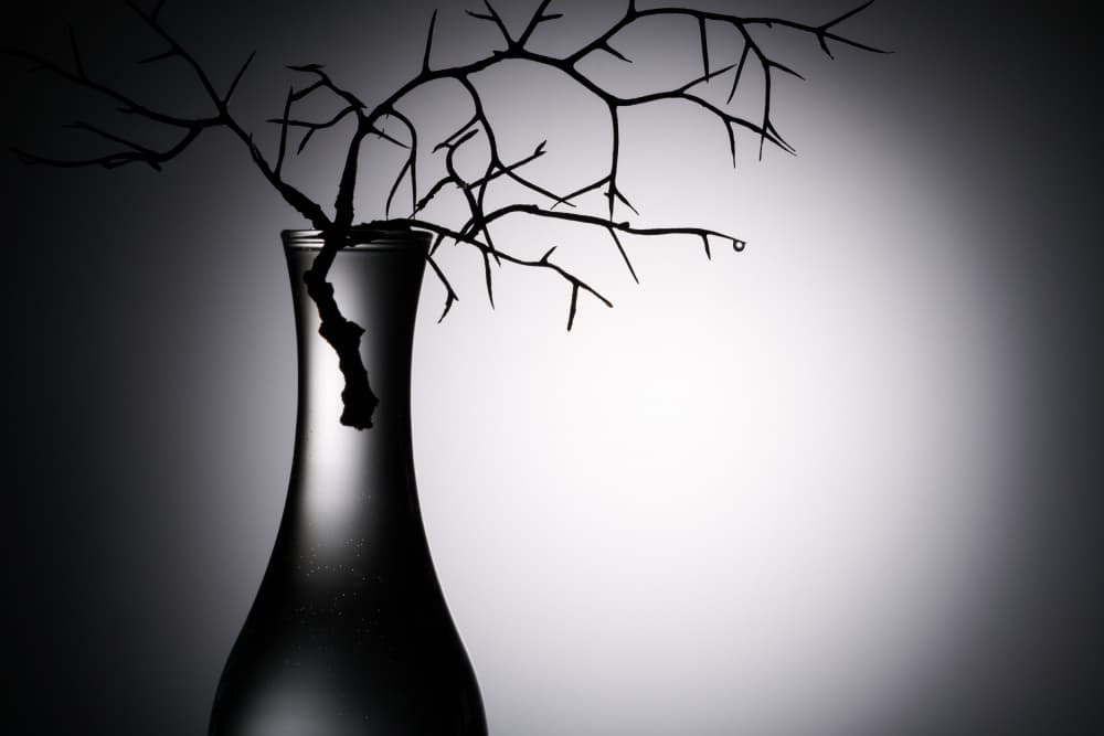 Shadowed Branches Vase by Drazen Sokac — canvas wall art