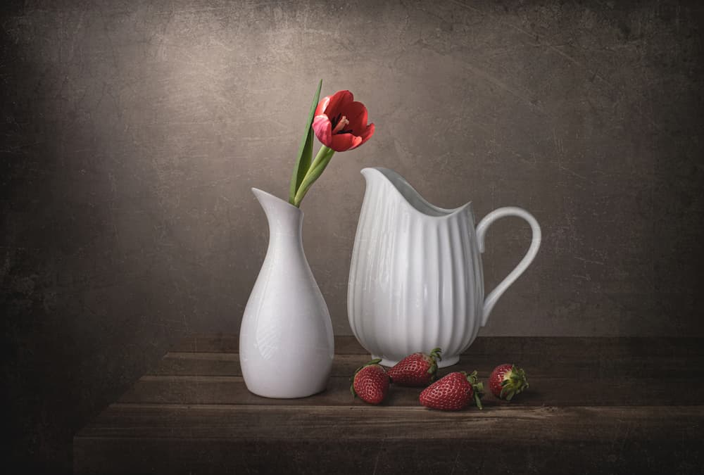 Red Tulip and Strawberries by Margareth Perfoncio — canvas wall art