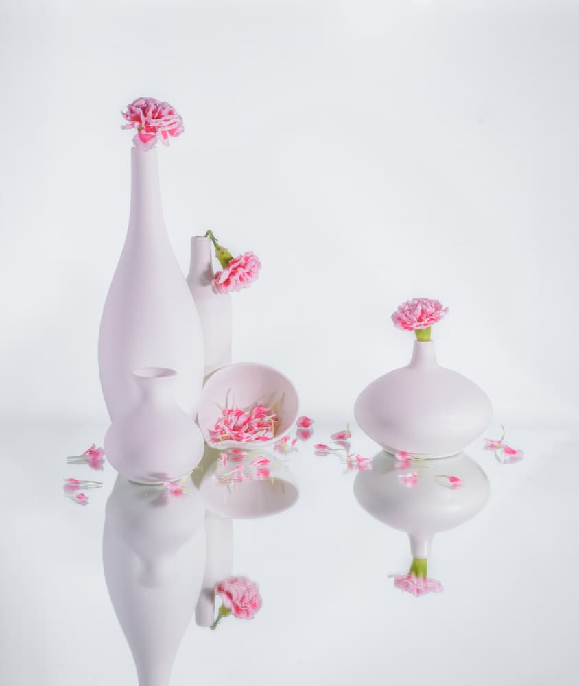 Serene Pink Vases by Alice Sheng — canvas wall art