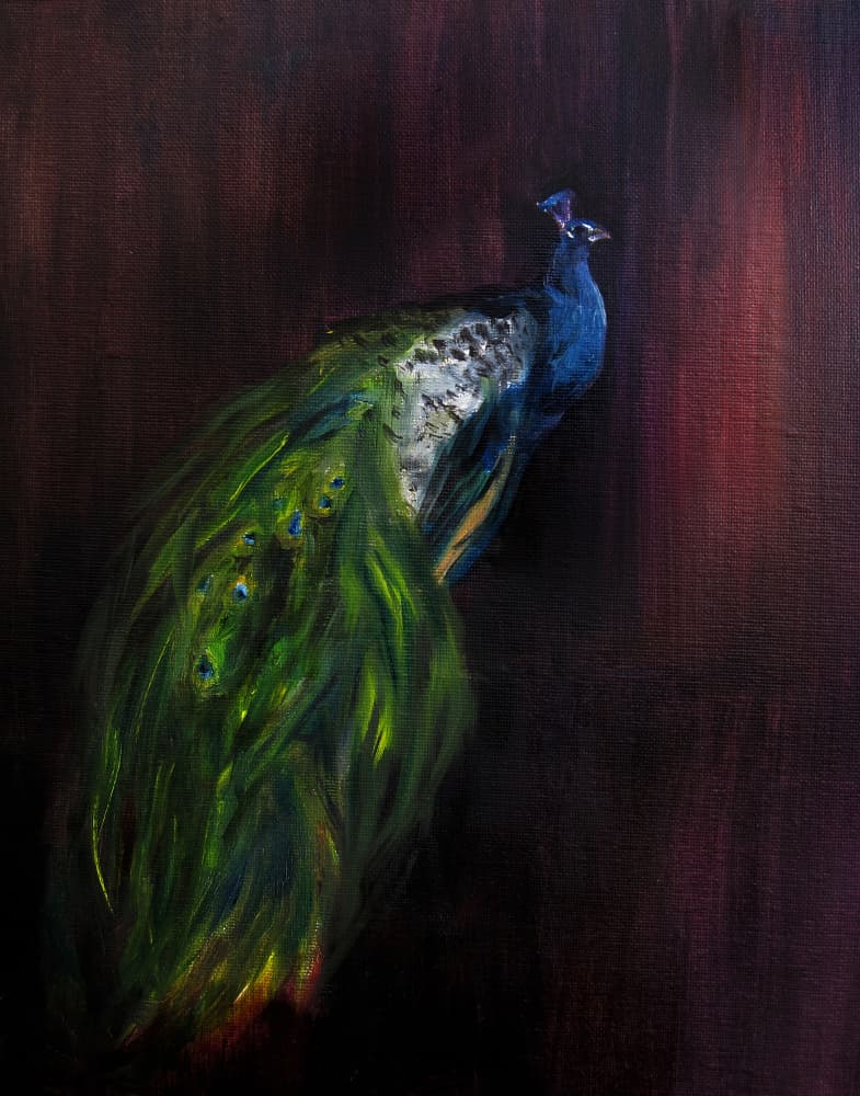 Regal Peacock Portrait by Christine Lindstrom — canvas wall art