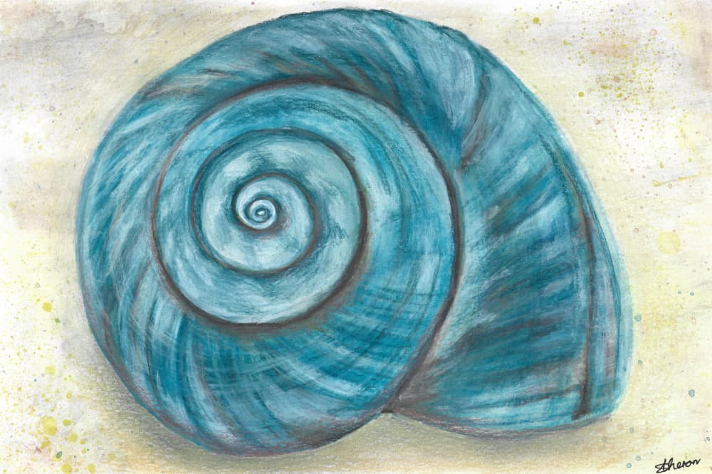Blue Spiral Shell by Sunet Theron — canvas wall art
