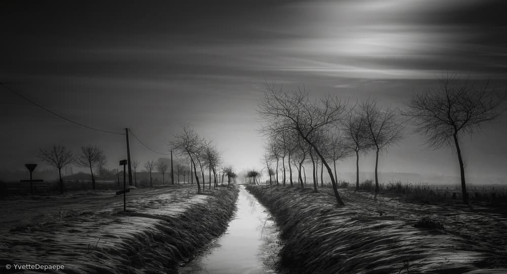Misty Winter Landscape by Yvette Depaepe — canvas wall art