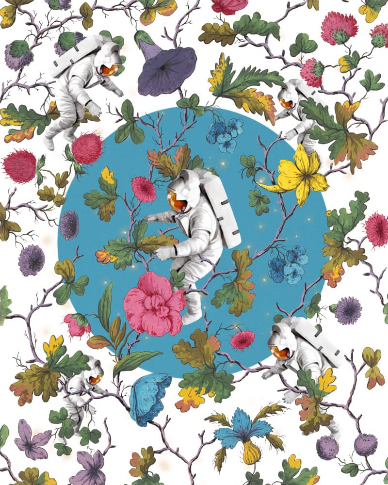Cosmic Garden Explorers by Marja van den Hurk — canvas wall art