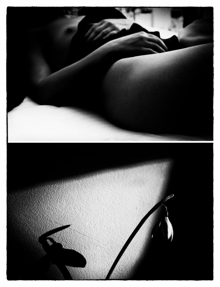 Sensual Form Delicate Bloom by Bogdan Bouşcă — canvas wall art