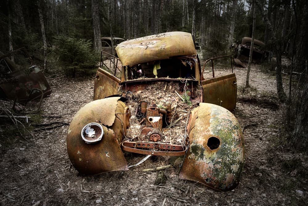 Rusted Forest Car Wreck by fotomarion — canvas wall art