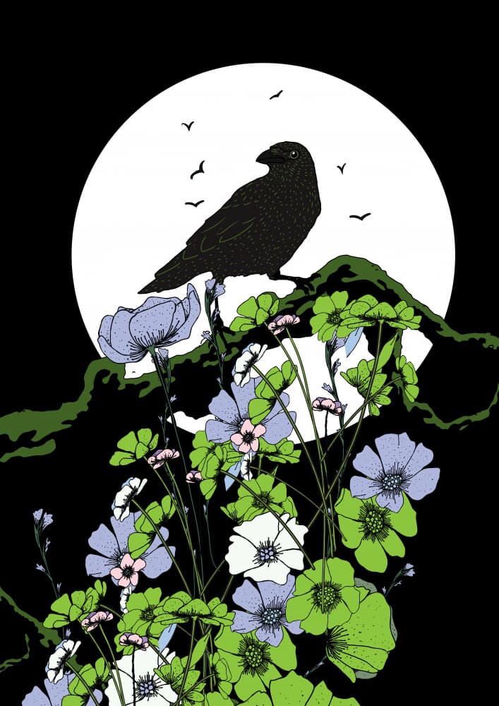 Moonlit Raven Garden by Nicholas — canvas wall art