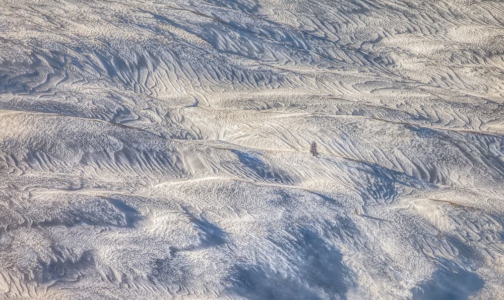 Textured Winter Landscape by Peter Svoboda MQEP — canvas wall art