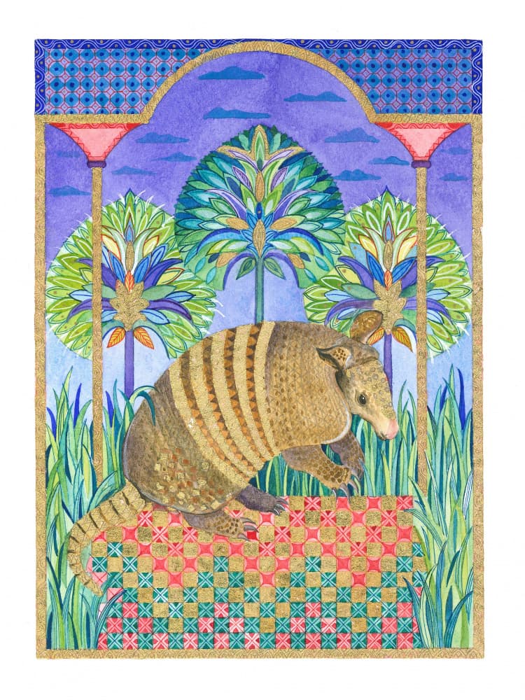 Armadillo by Isabelle Brent — canvas wall art