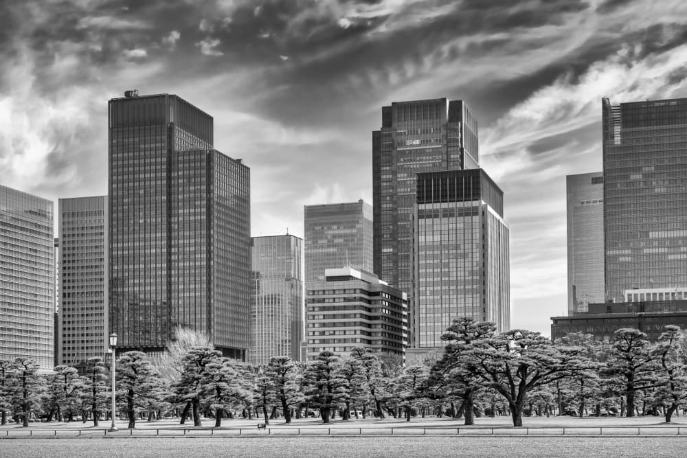 Black White Metropolis by Melanie Viola — canvas wall art