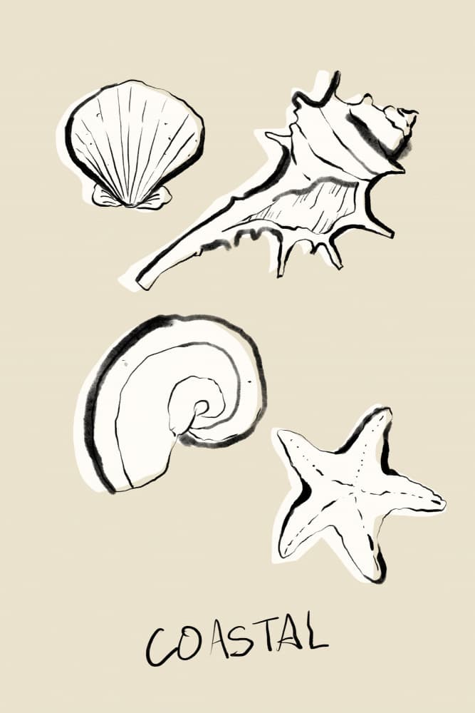 Coastal Shells And Starfish by Treechild — canvas wall art