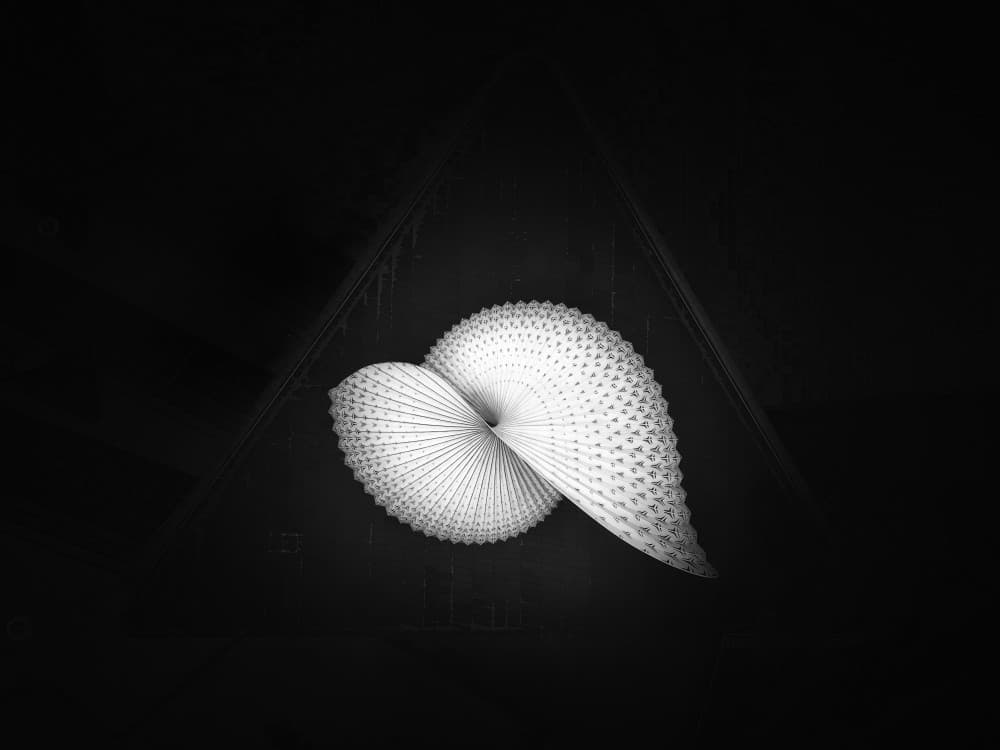 Abstract Spiral Form by Mei Xu — canvas wall art