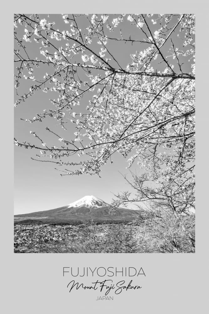 Mount Fuji Sakura Spring by Melanie Viola — canvas wall art