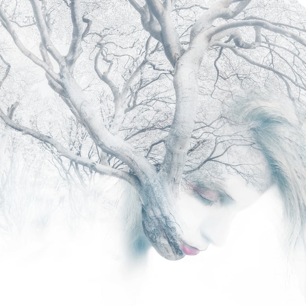 Ethereal Tree Woman by Tommaseo Gregorio — canvas wall art
