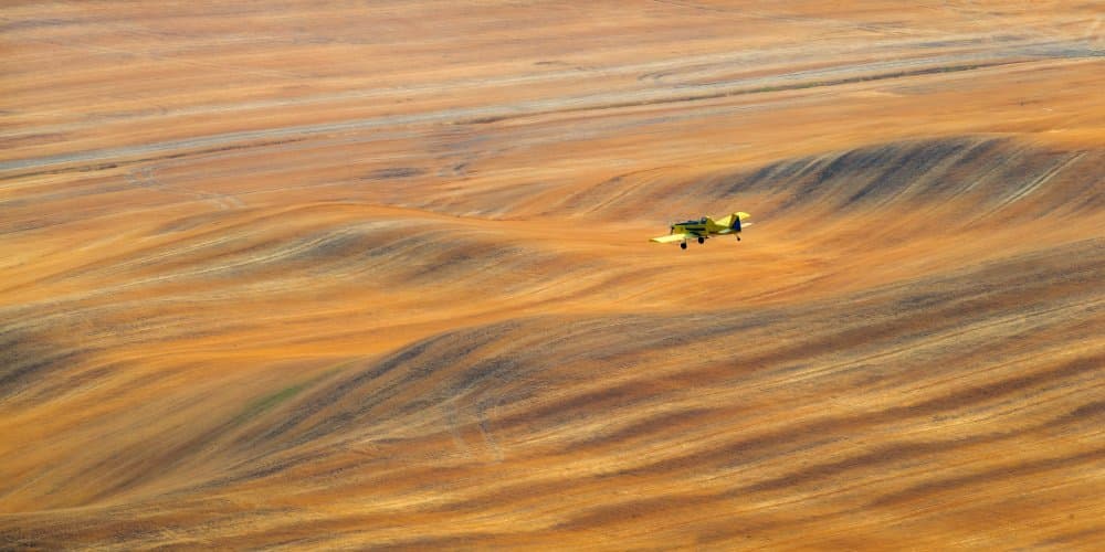 Plane Over Golden Fields by John J. Chen — canvas wall art