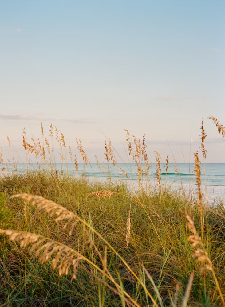 Coastal Dune View by Bethany Young — canvas wall art