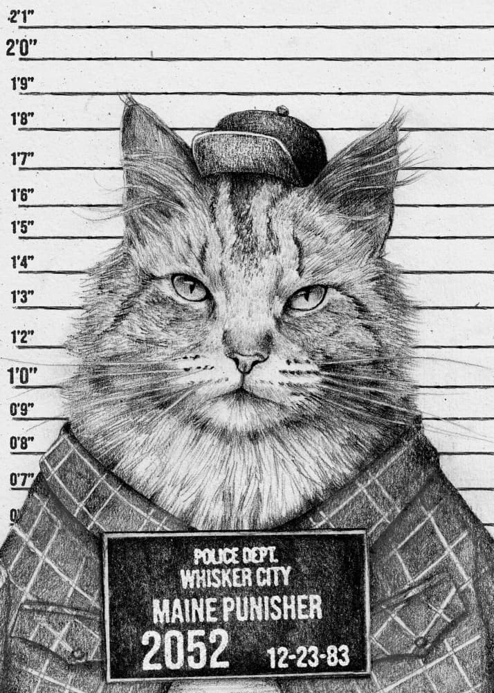 Cat In A Police Lineup by Mike Koubou — canvas wall art