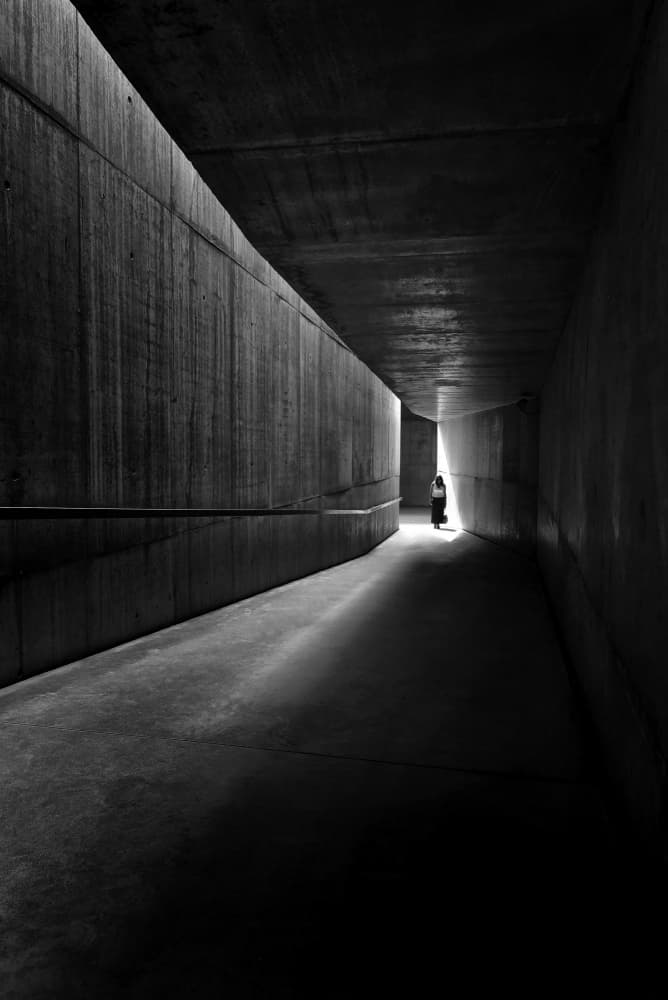 Path To Light by Jorge Pimenta — canvas wall art