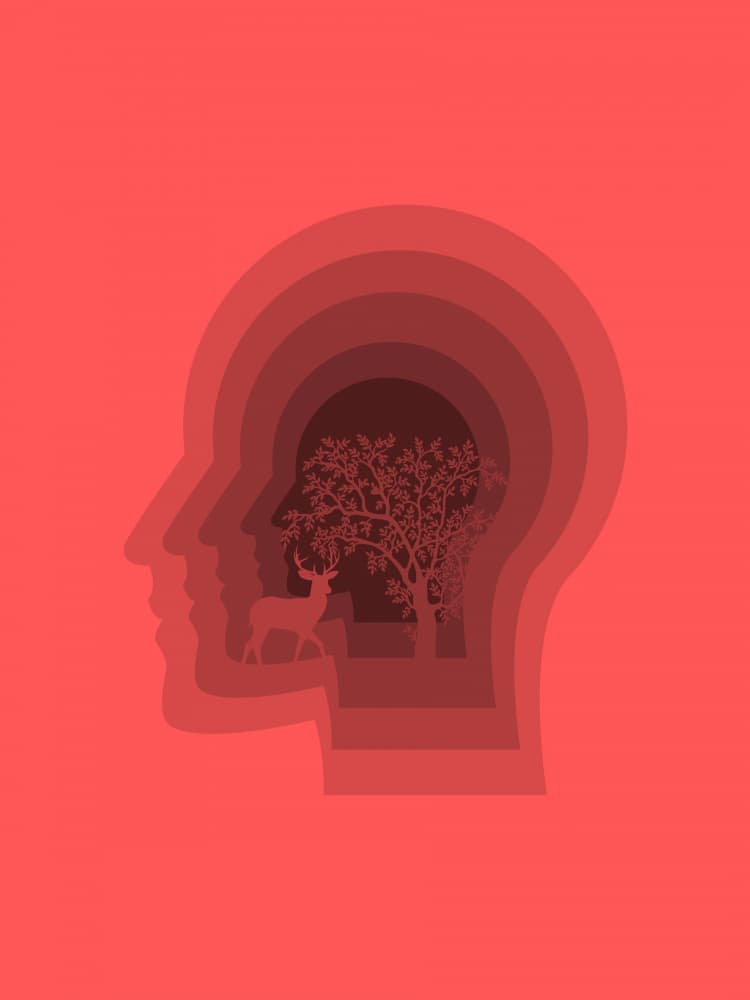 Inner Nature Mindscape by Little Dean — canvas wall art