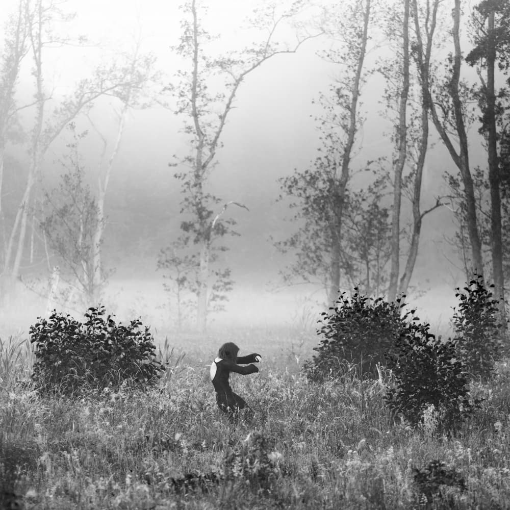 Vinga by Leszek Paradowski — canvas wall art