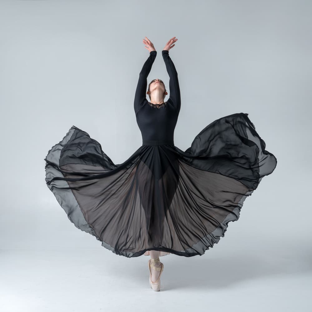 Graceful Ballet Movement by Derwood — canvas wall art