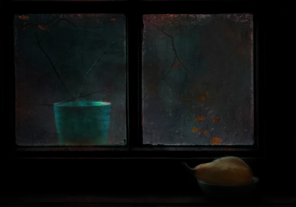 Moody Window Still Life by Delphine Devos — canvas wall art
