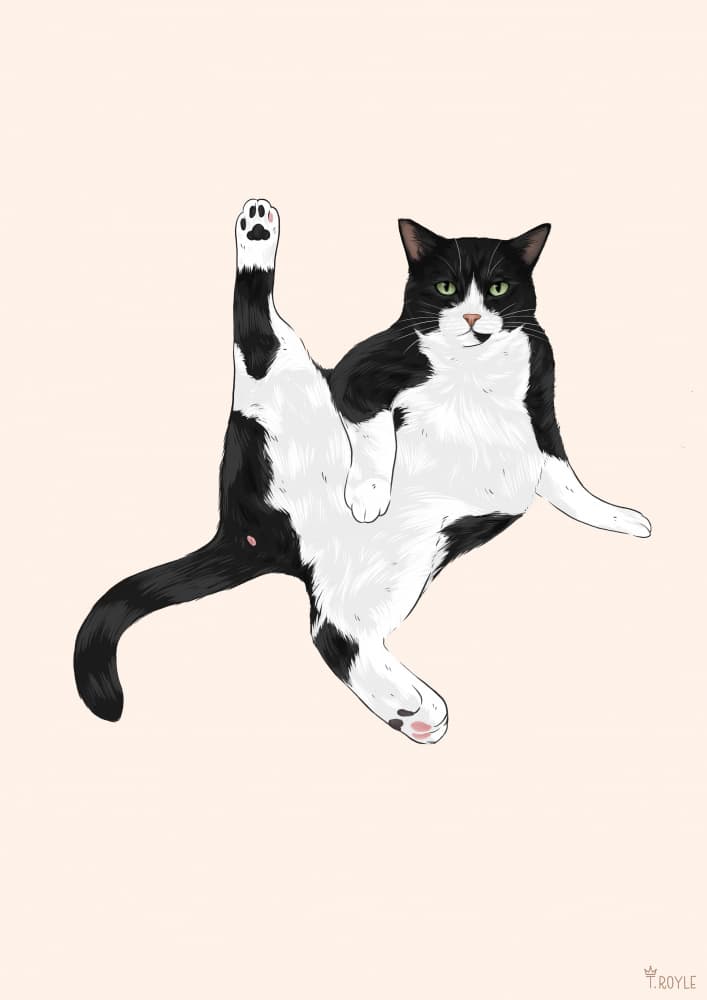Silly Cat Leg Up by Tara Royle — canvas wall art