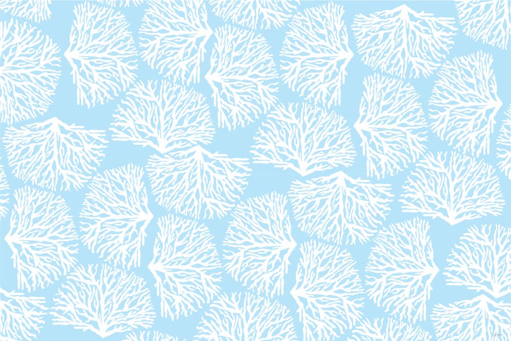 Light Blue Coral Pattern by Sue Skellern — canvas wall art