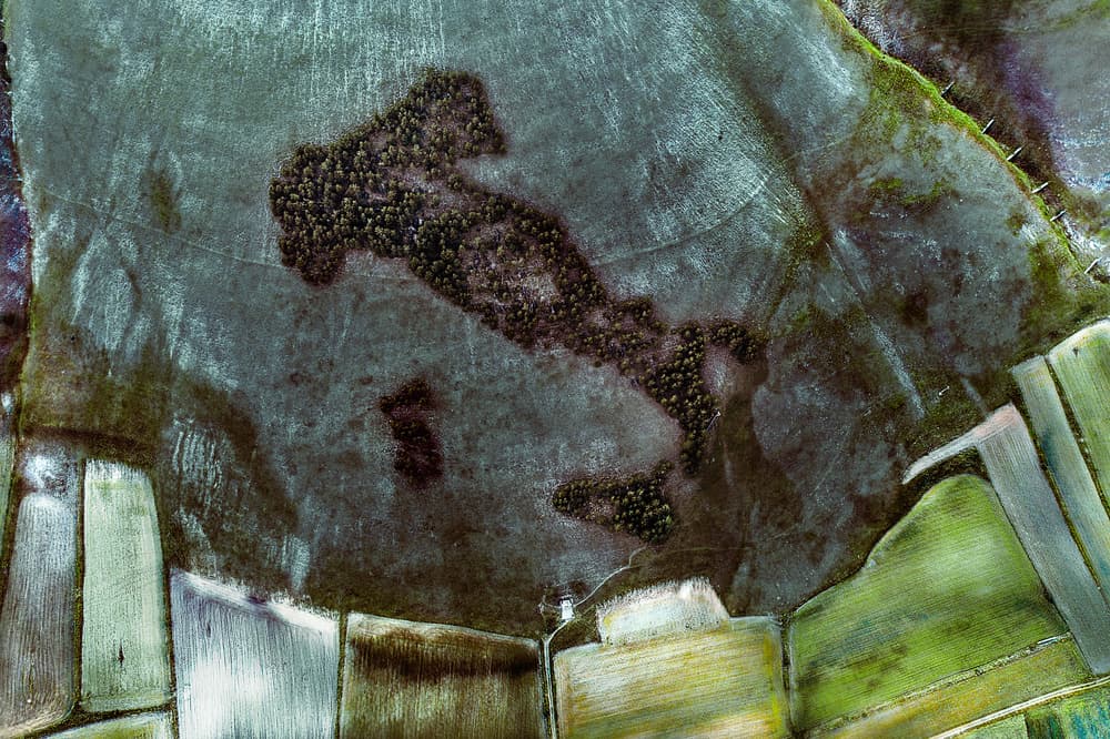 Italy Shaped Forest by Carmine Chiriacò — canvas wall art