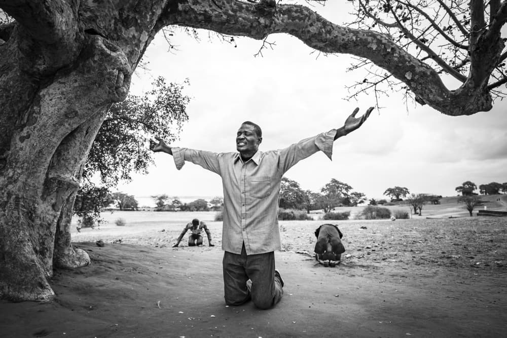 Joyful Prayer Under Tree by João Coelho — canvas wall art
