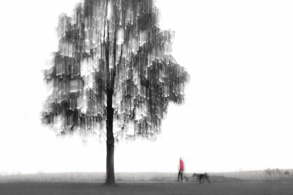 Dreamy Tree Red Walk by Cindy Liu — canvas wall art