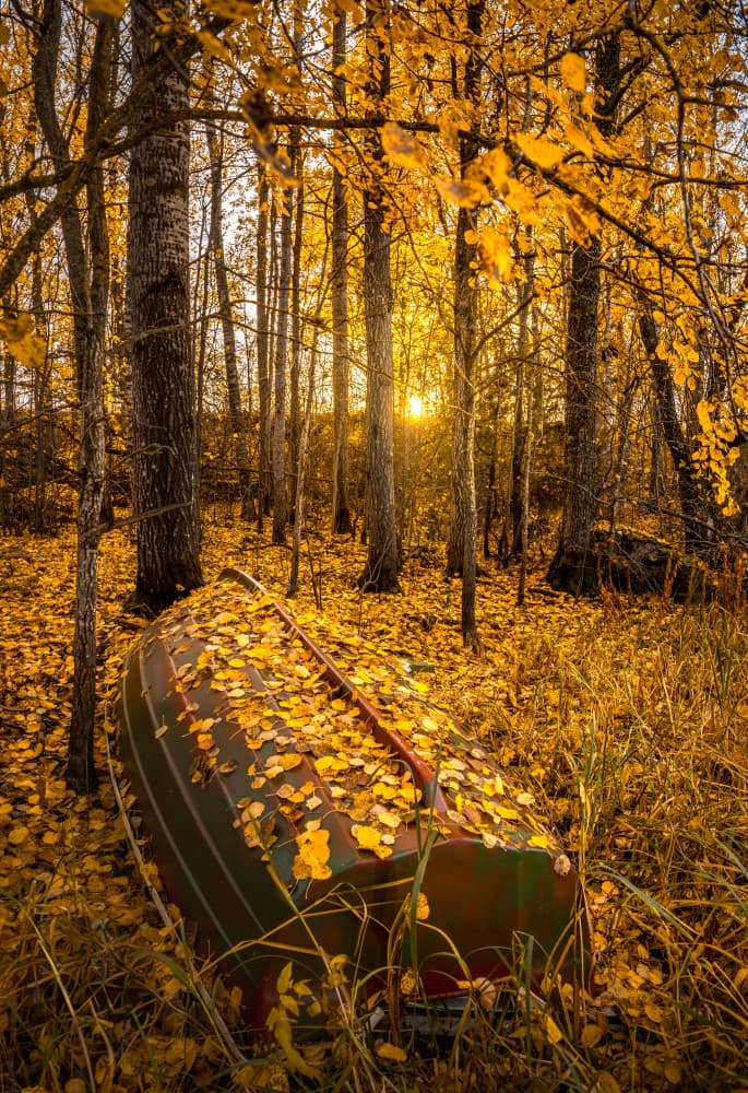 Golden Autumn Boat by Christian Lindsten — canvas wall art