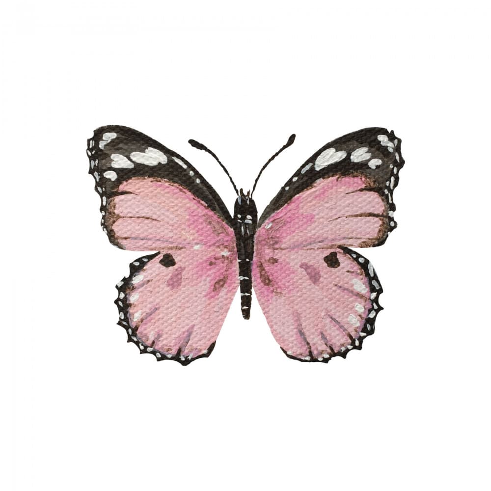 Delicate Pink Butterfly by Madison Phipps — canvas wall art