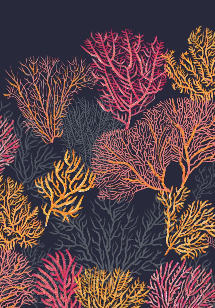 Vibrant Coral Reef Garden by Alexandra Weise — canvas wall art