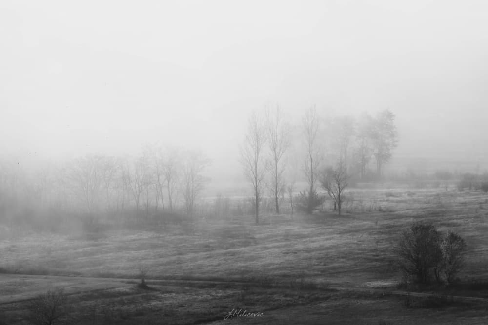 Misty Winter Landscape by Josip Milićević — canvas wall art