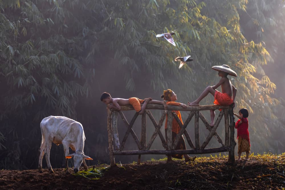 Misty Morning Friends by Sally Widjaja — canvas wall art