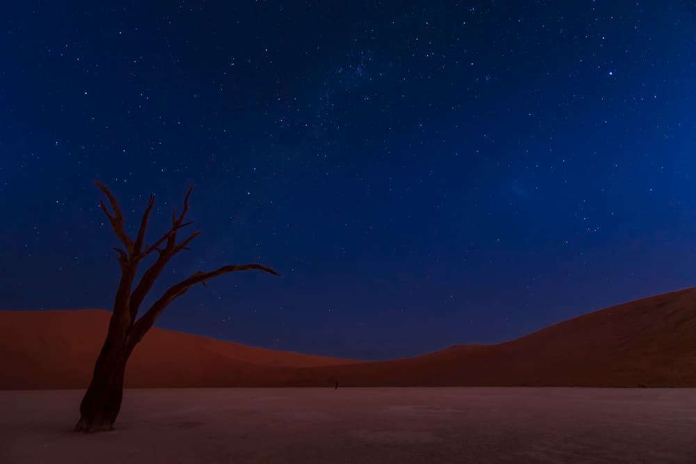 Deadvlei Starry Night by Ali Khataw — canvas wall art