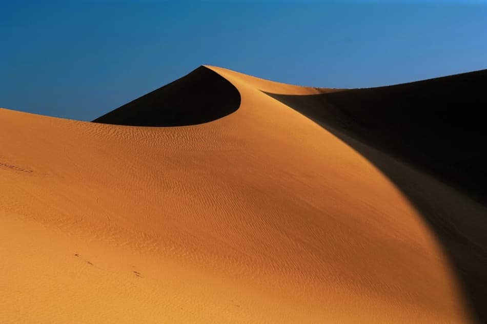 Golden Sand Dune Curves by Jure Kravanja — canvas wall art
