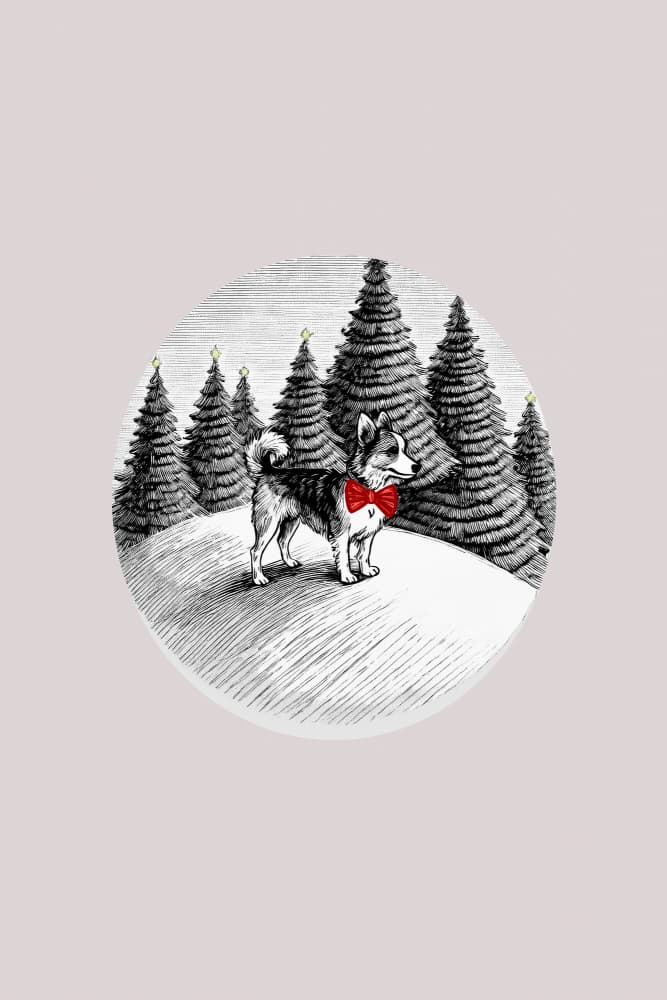 Elegant Christmas Dog by casa cartissi — canvas wall art