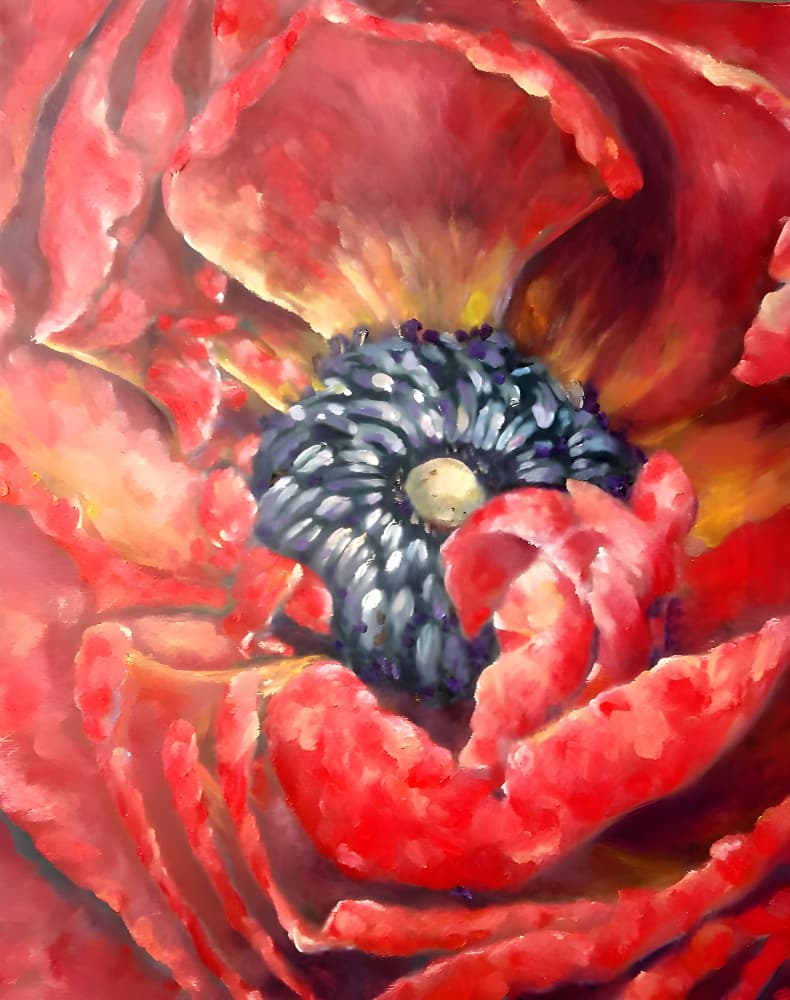 Vibrant Red Poppy by Anda Bieza — canvas wall art