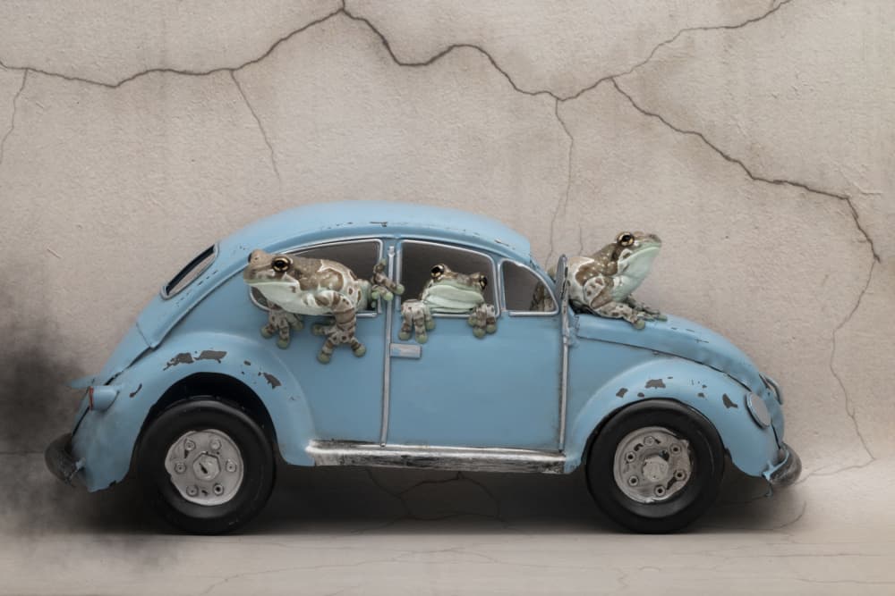 Frog Family Road Trip by Louise Wolbers — canvas wall art
