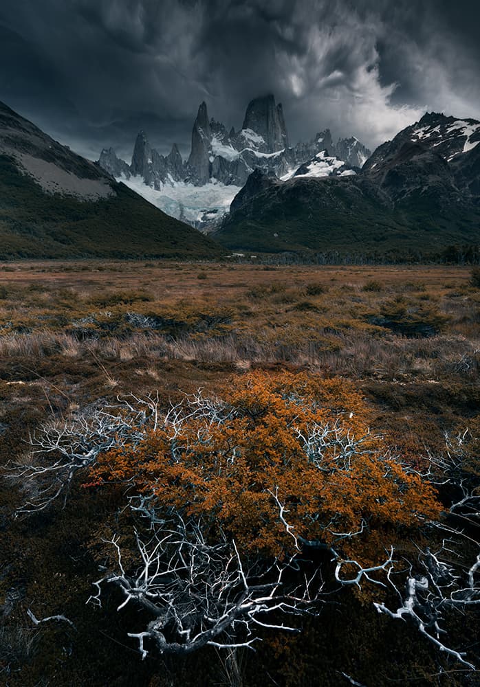 Autumn Bush Mountain Majesty by Karol Nienartowicz — canvas wall art