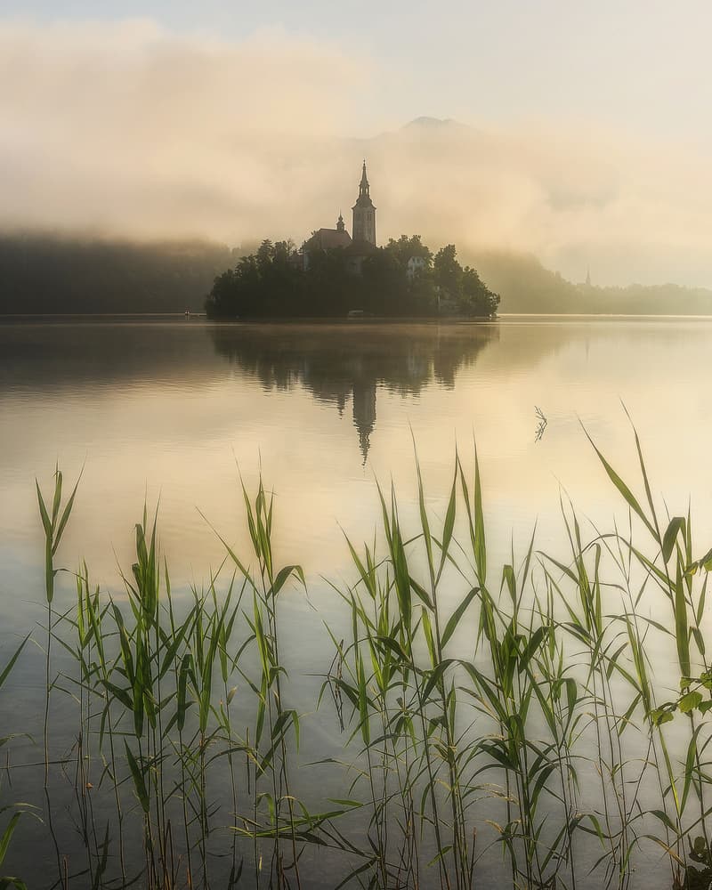 Misty Lake Bled Island by Ales Krivec — canvas wall art