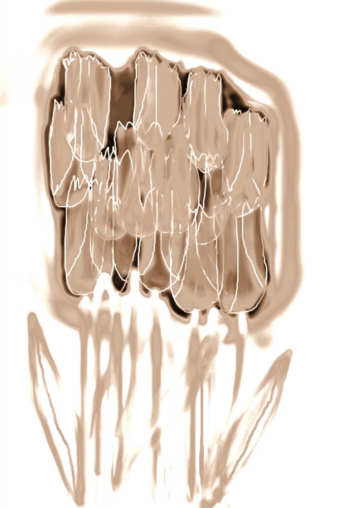 Delicate Sepia Flowers by Christina Sillen — canvas wall art