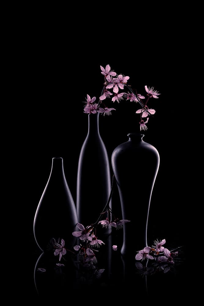 Pink Blossoms Dark Vases by Lydia Jacobs — canvas wall art