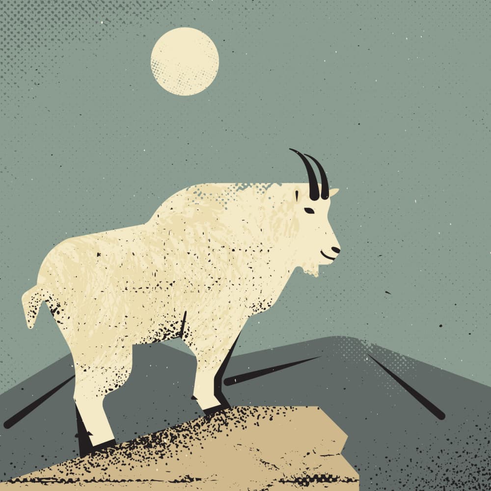 Serene Mountain Goat by The Creating Mind — canvas wall art