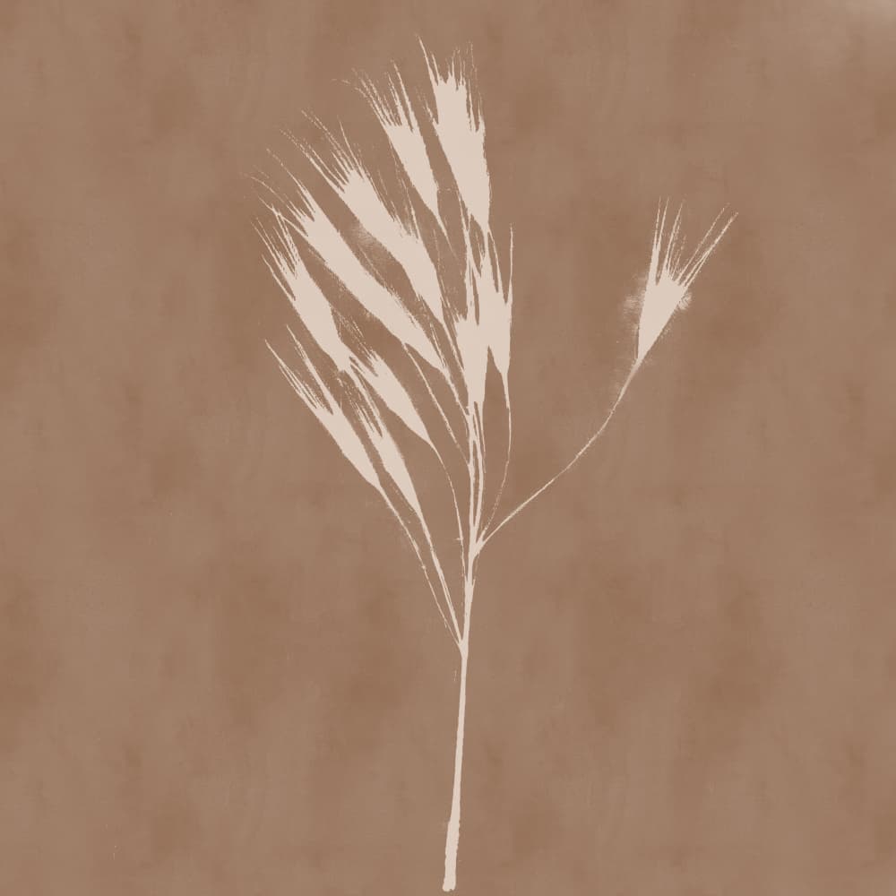 Organic Grass Plume by Dina Dankers — canvas wall art
