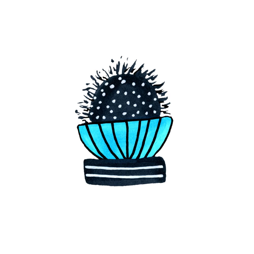Cute Potted Cactus by Michele Channell — canvas wall art