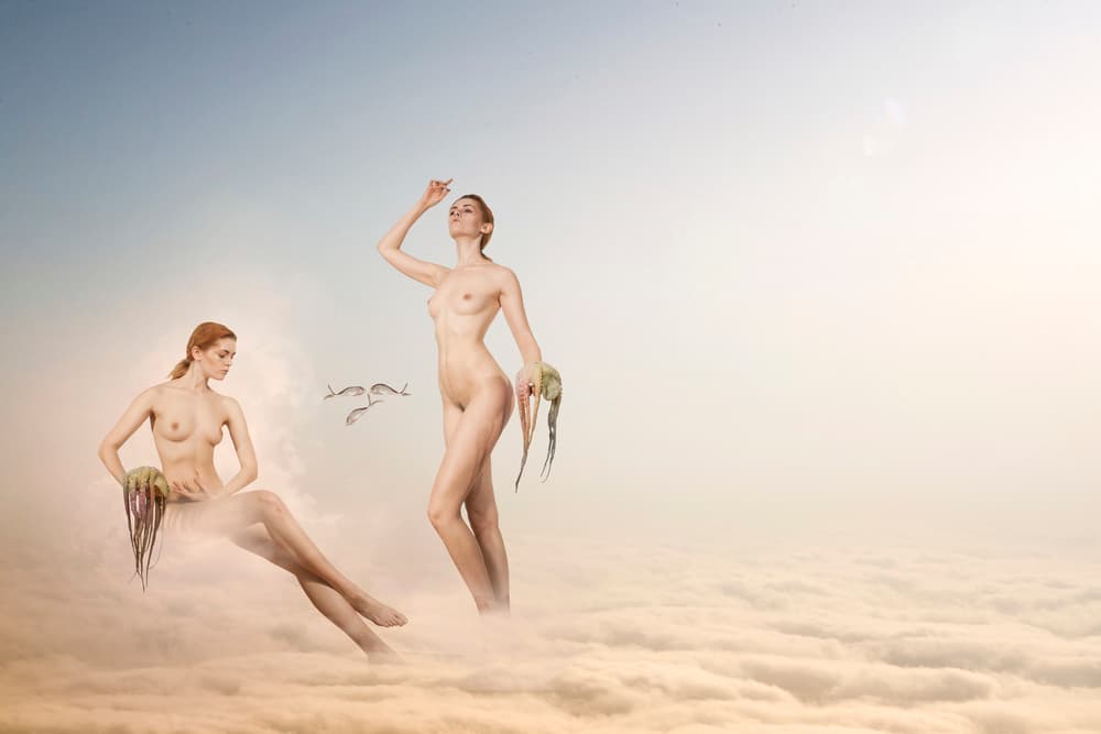 over the clouds by Christine von Diepenbroek — canvas wall art