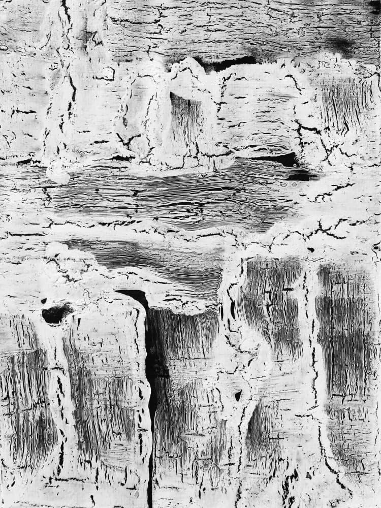 Abstract Cracked Wood by kathrinmay — canvas wall art