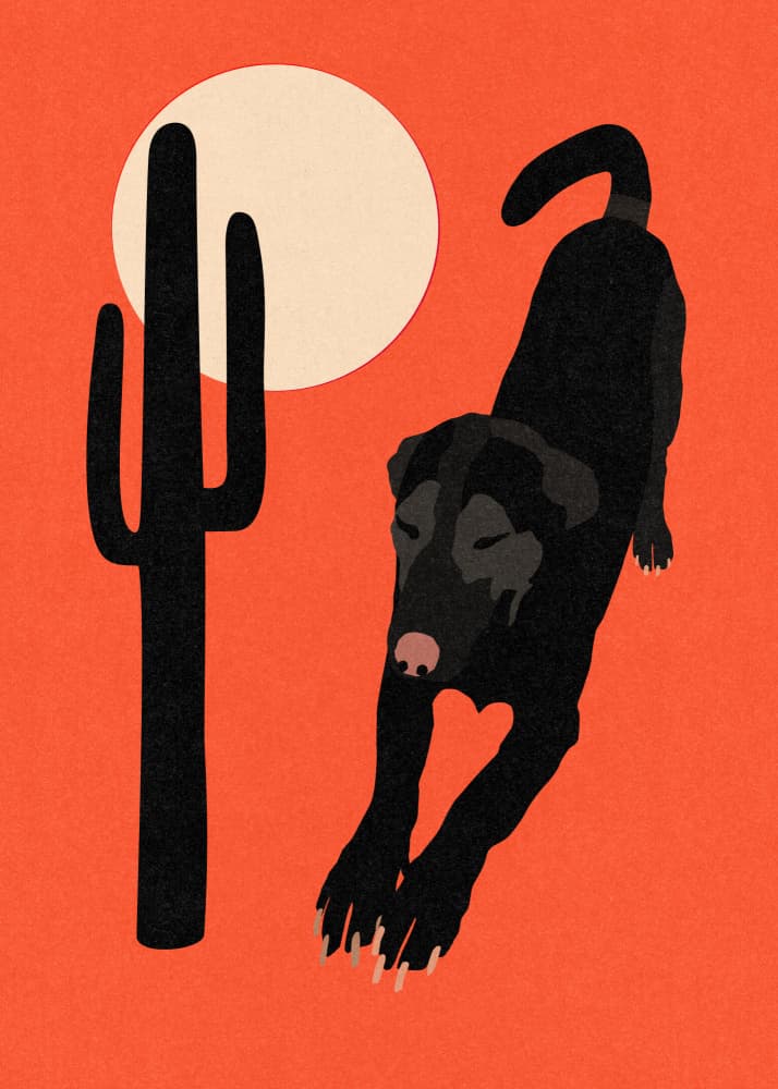 Black Desert Dog by Rosi Feist — canvas wall art